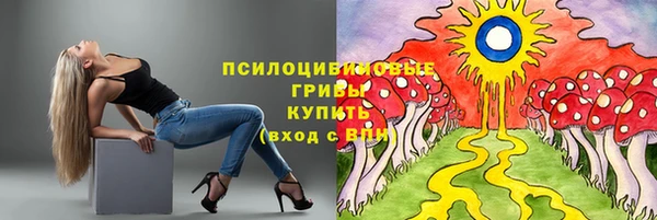 таблы Карпинск