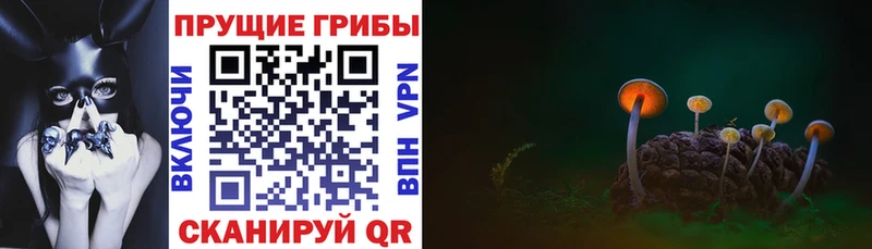 Купить  Краснозаводск  Псилоцибиновые грибы Magic Shrooms 
